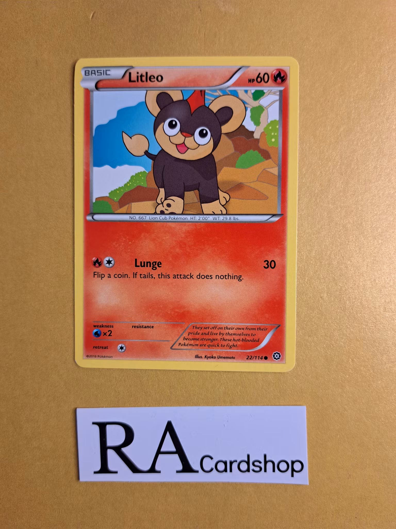 Litleo Common 22/114 Steam Siege Pokemon