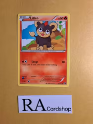 Litleo Common 22/114 Steam Siege Pokemon