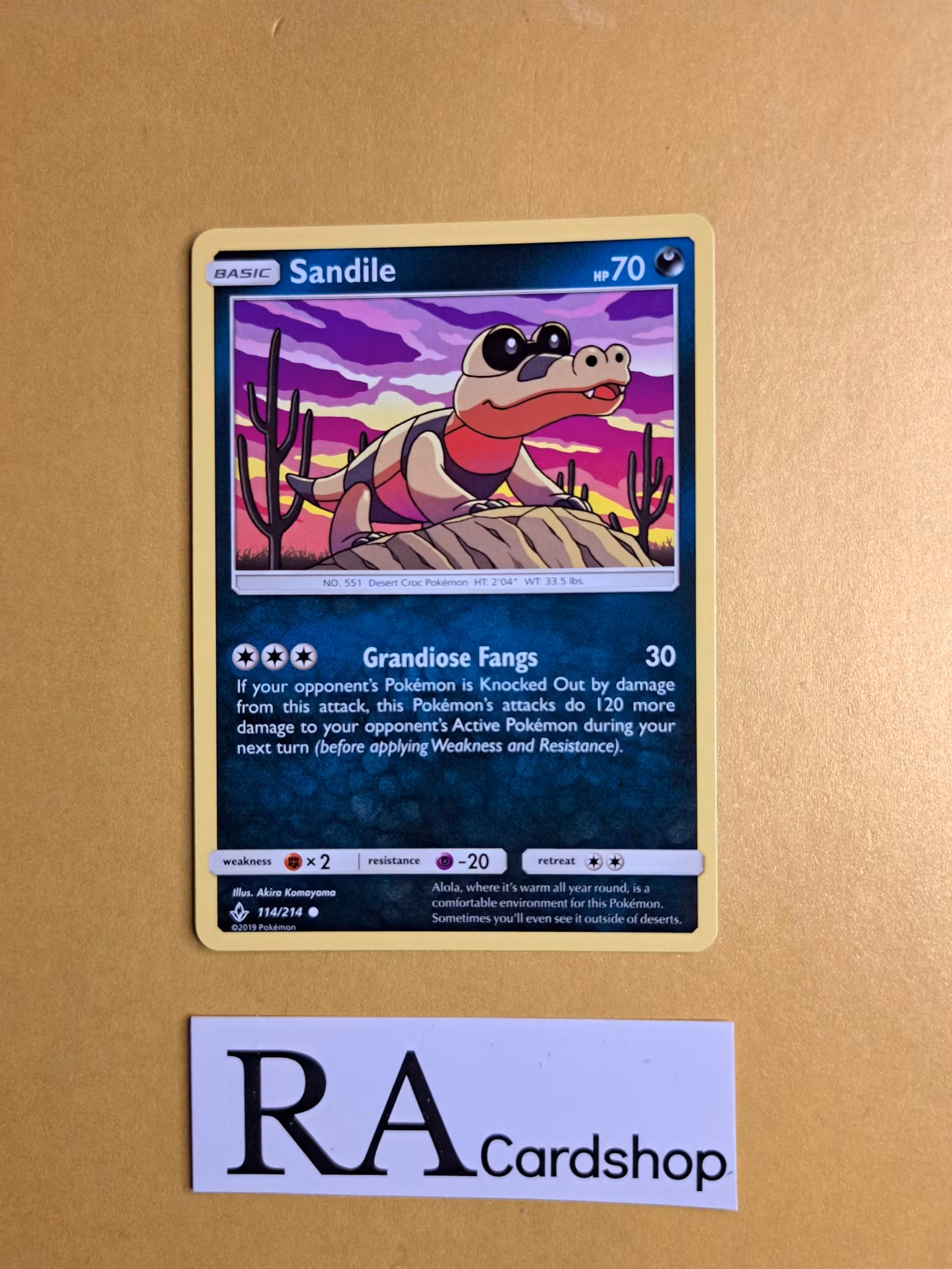 Sandile Common 114/214 Unbroken Bonds Pokemon