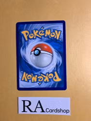 Chip-Chip Ice Pick Uncommon 165/214 Unbroken Bonds Pokemon