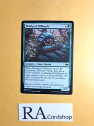 Moldgraf Millipede Common 209/277 Innistrad: Crimson Vow (VOW) Magic the Gathering