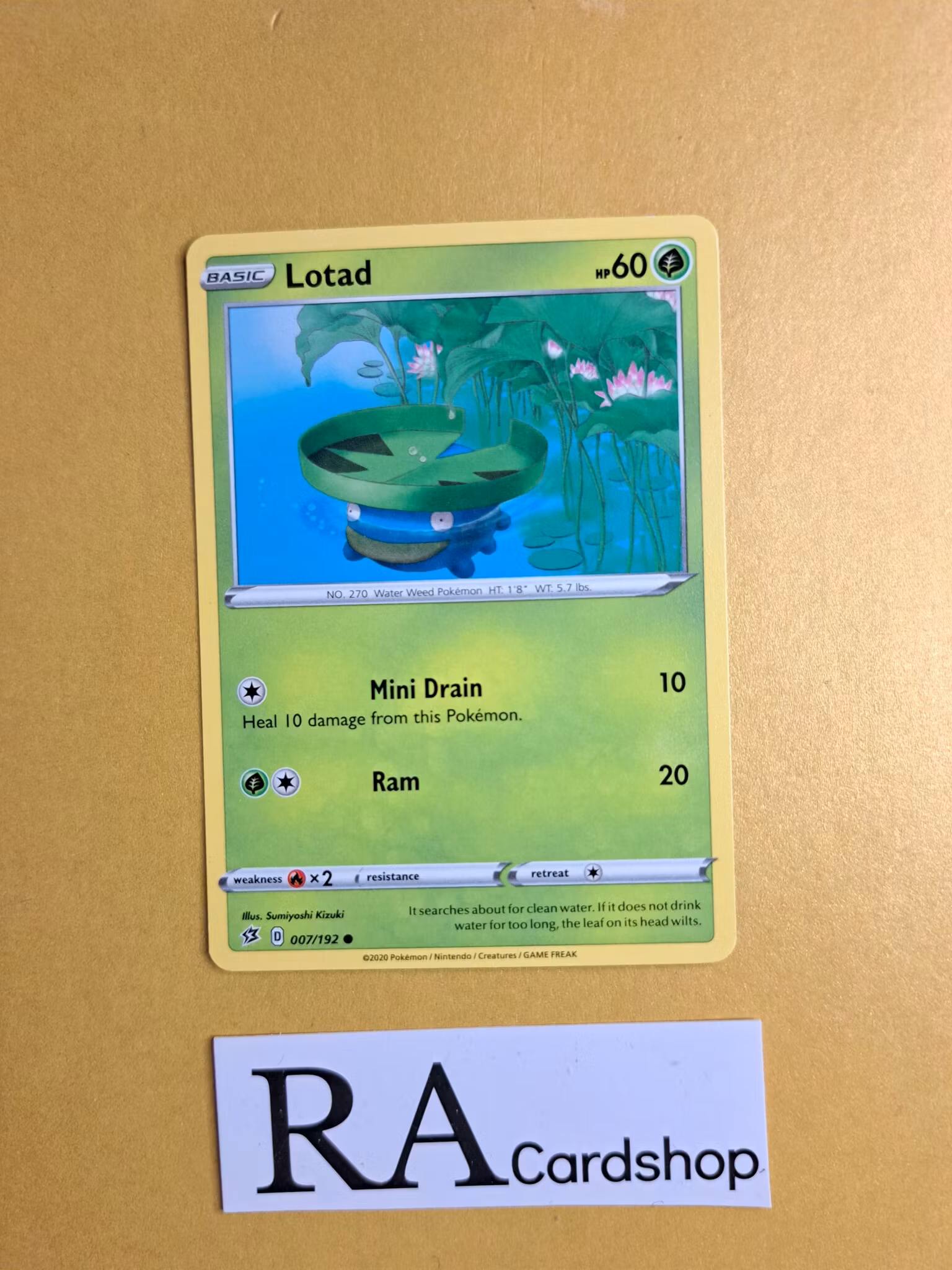 Lotad Common 007/192 Rebel Clash Pokemon