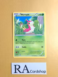 Wurmple Common 3/108 Roaring Skies Pokemon