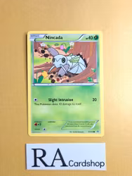Nincada Common 9/108 Roaring Skies Pokemon