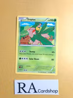Tropius Uncommon 12/108 Roaring Skies Pokemon