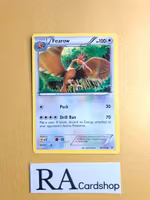 Fearow Uncommon 66/108 Roaring Skies Pokemon