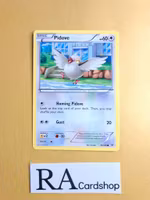 Pidove Common 78/108 Roaring Skies Pokemon