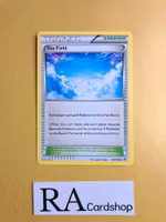 Sky Field Uncommon 89/108 Roaring Skies Pokemon