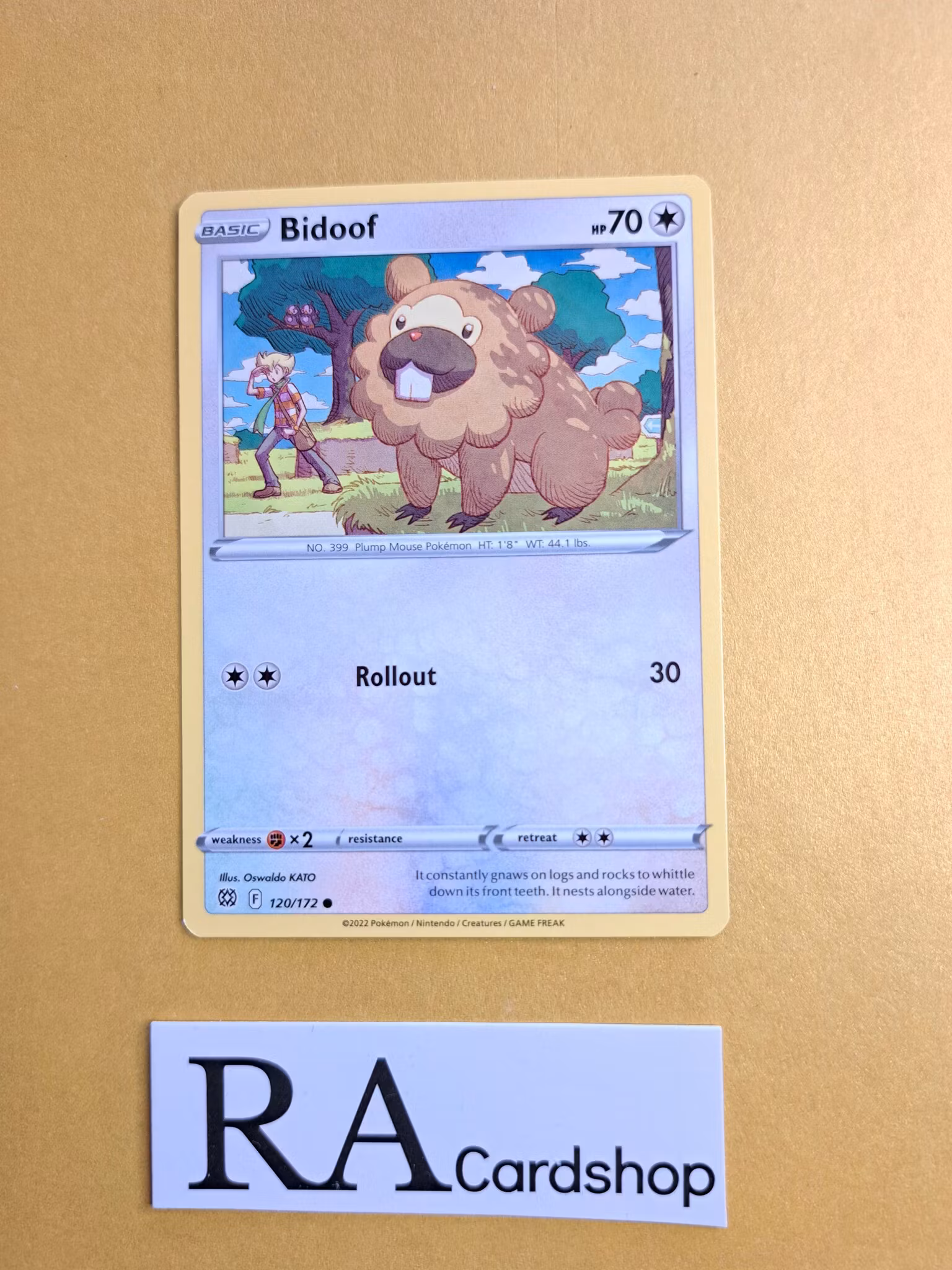 Bidoof Common 120/172 Brilliant Stars Pokemon