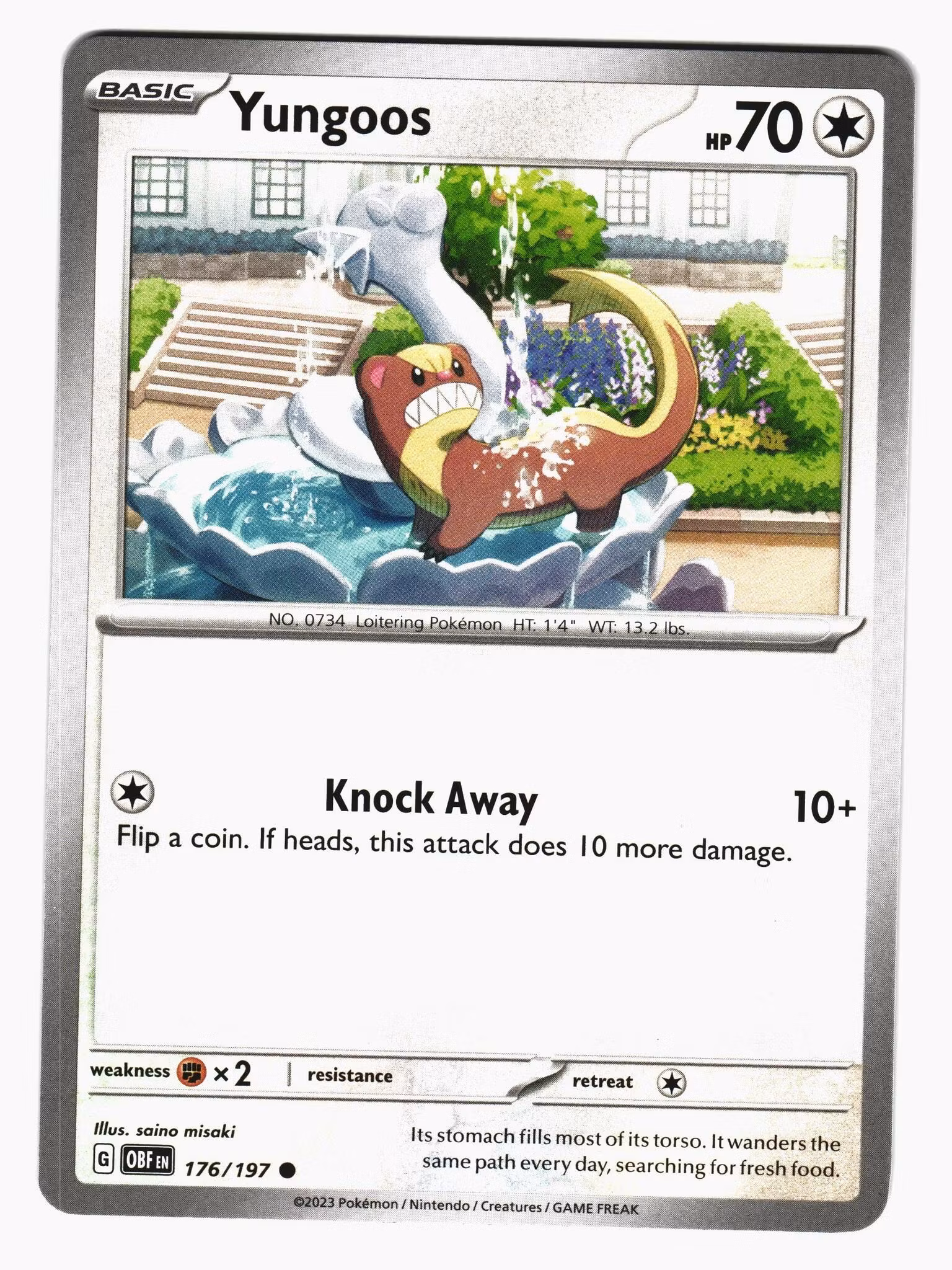 Yungoos Common 176/197 Obsidian Flames Pokemon