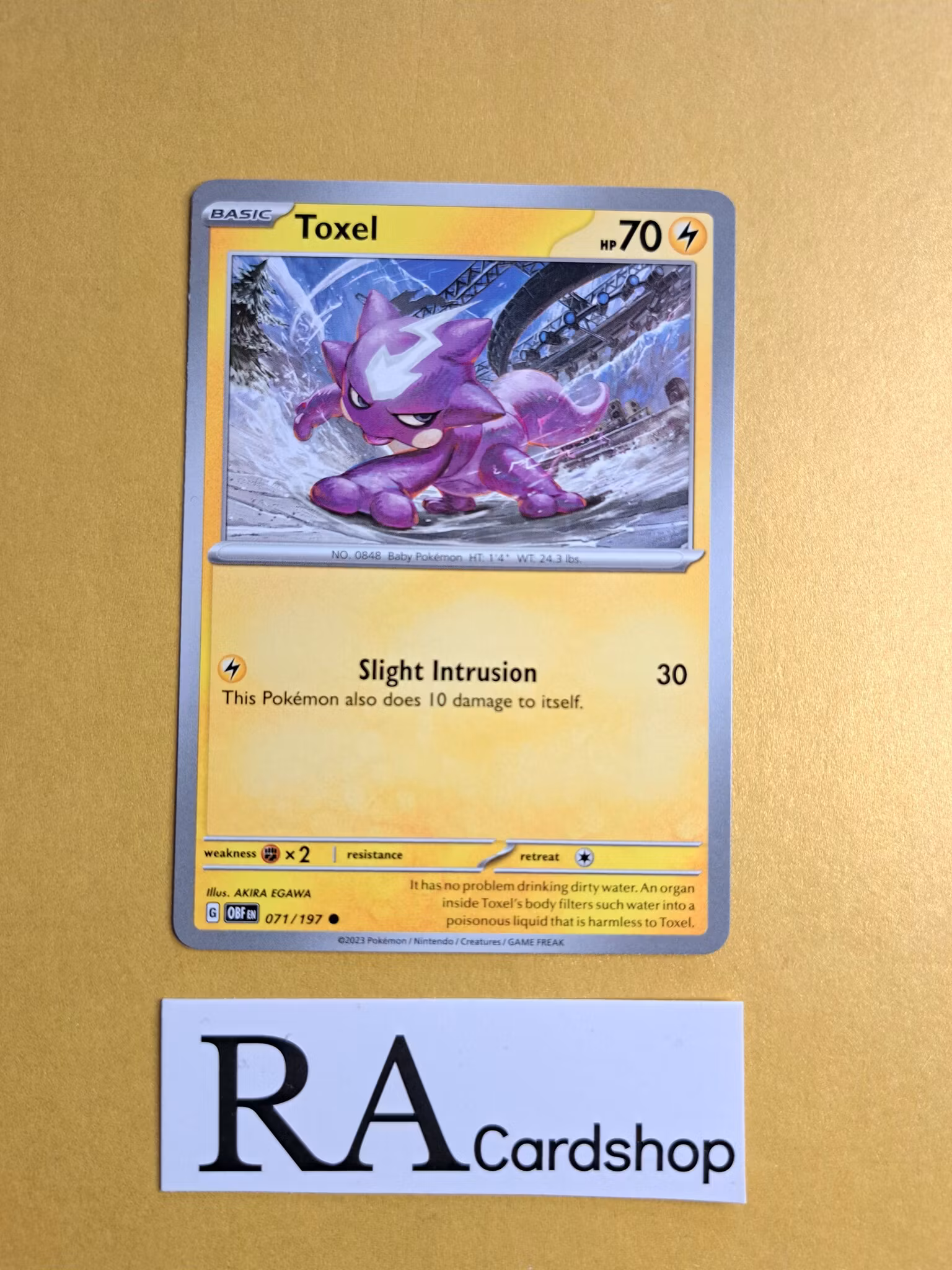 Toxel Common 071/197 Obsidian Flames Pokemon