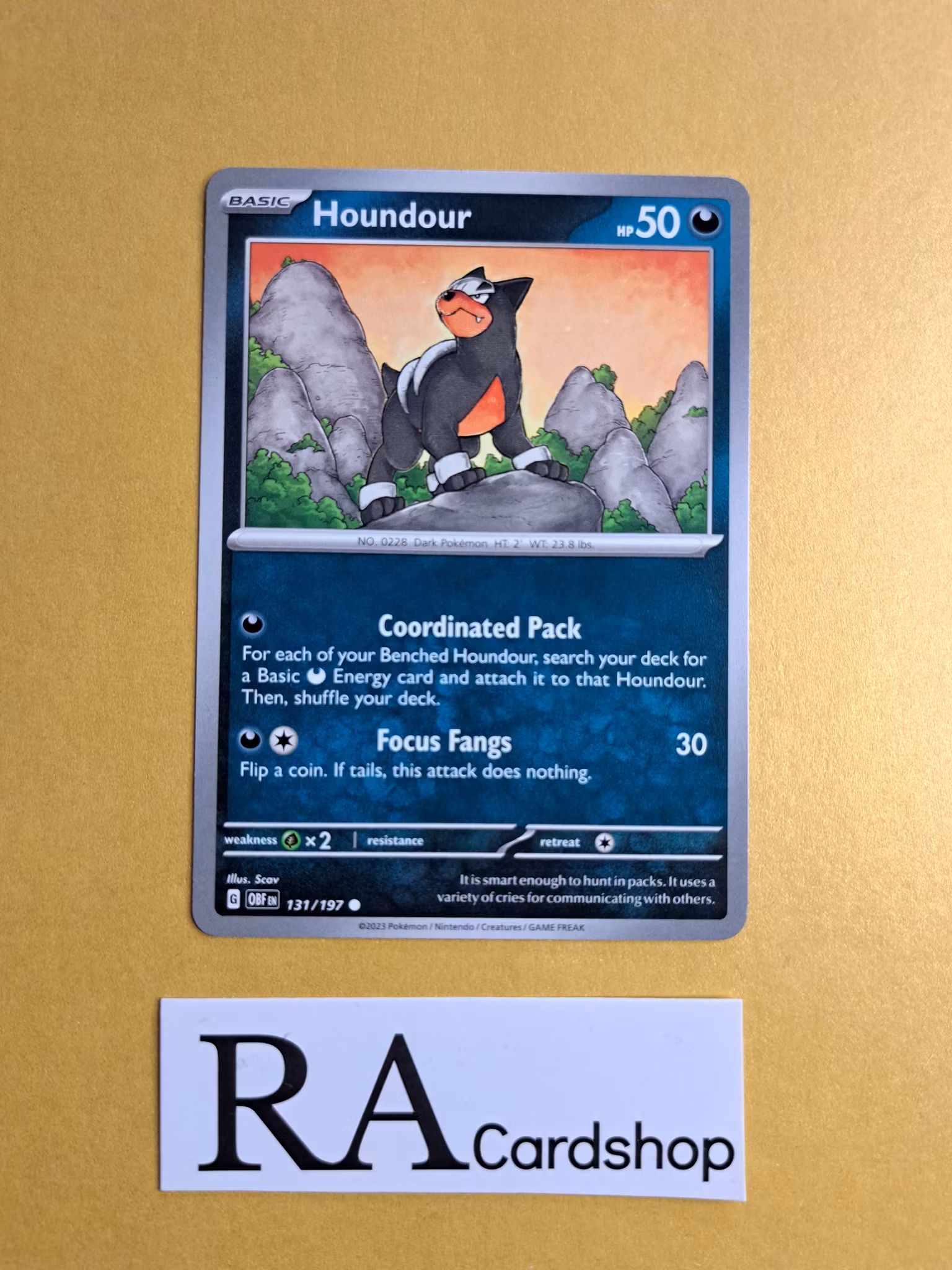 Houndour Common 131/197 Obsidian Flames Pokemon