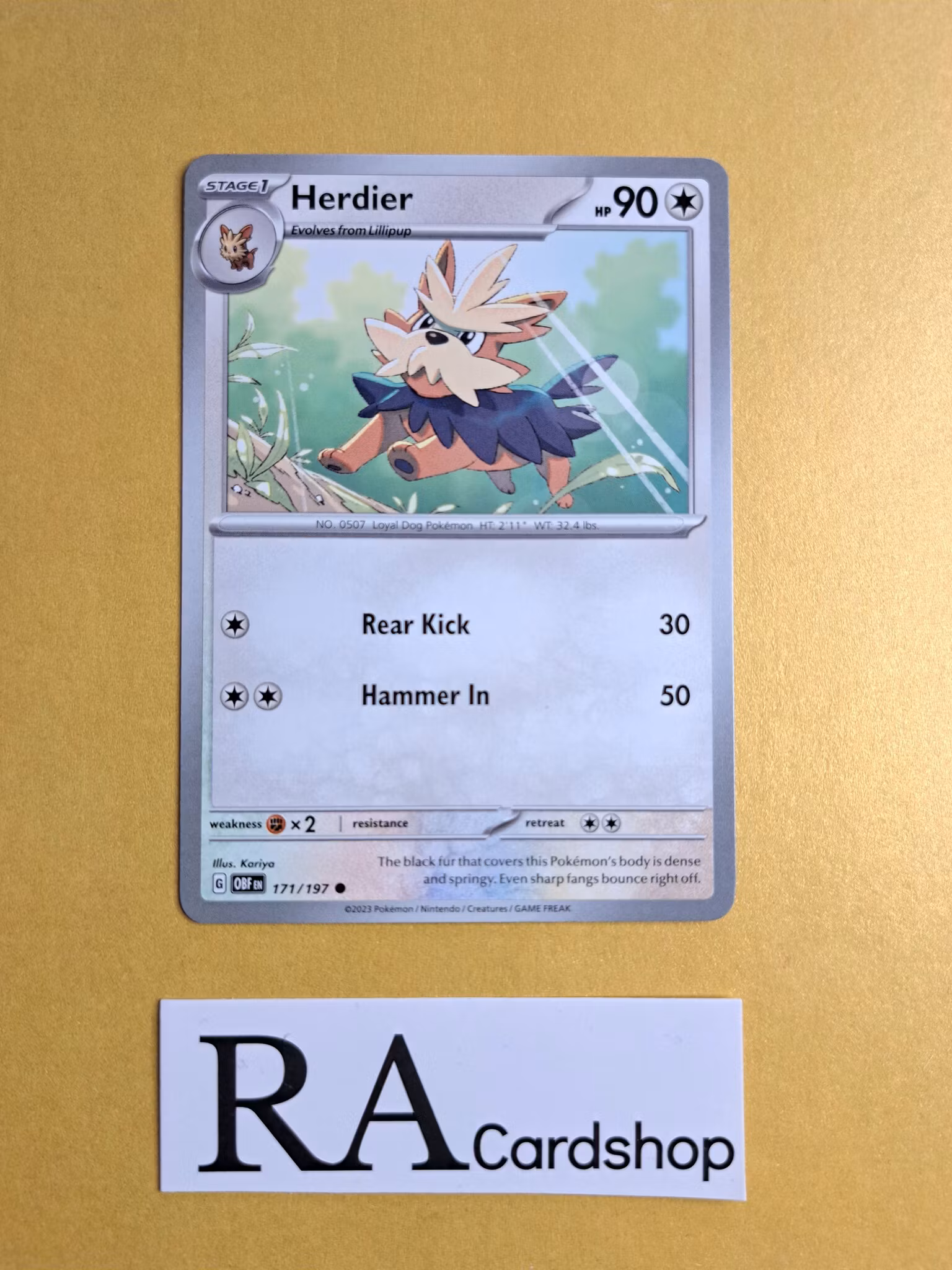 Herdier Common 171/197 Obsidian Flames Pokemon