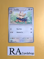 Herdier Common 171/197 Obsidian Flames Pokemon