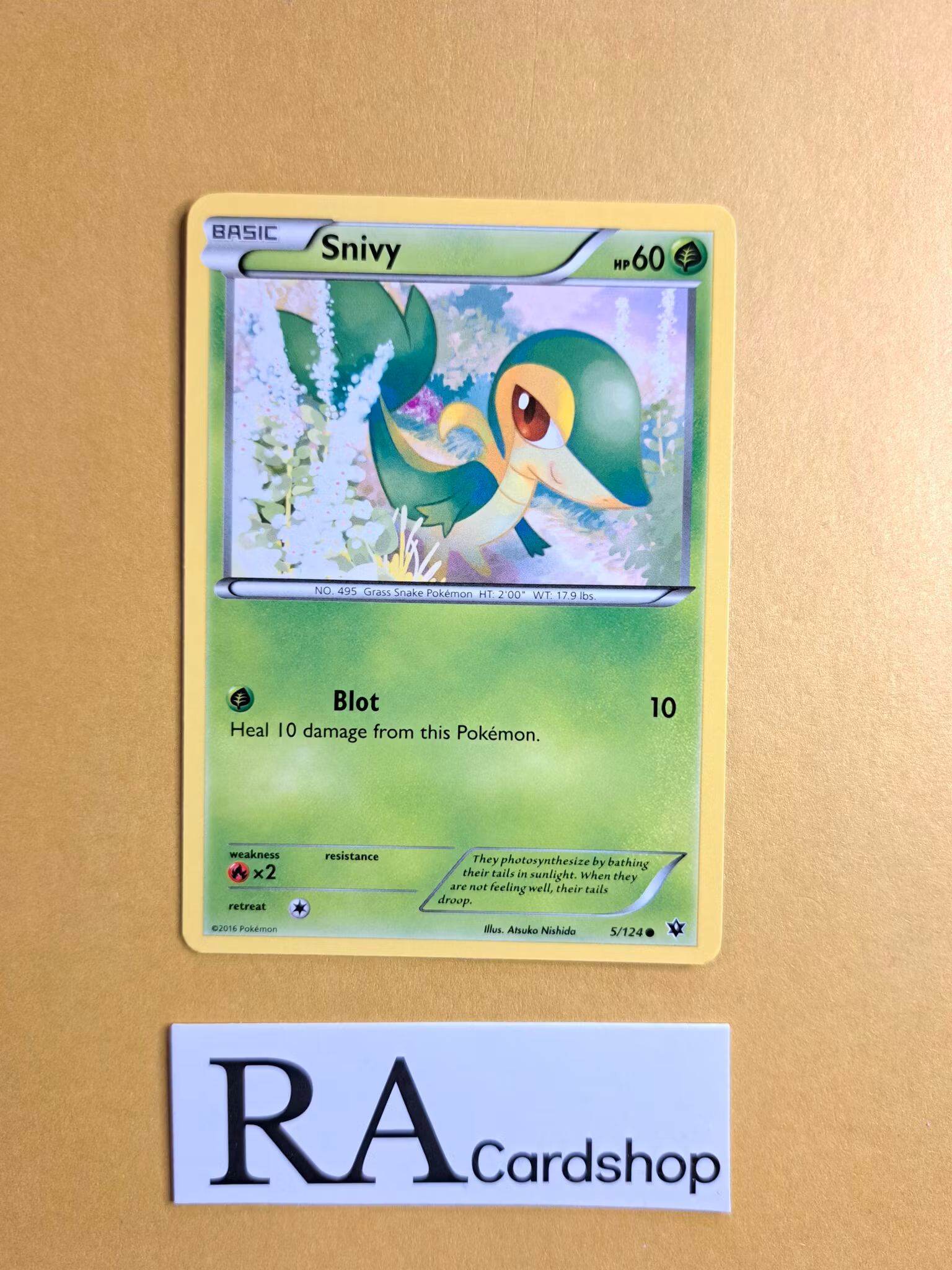 Snivy Common 5/124 Fates Collide Pokemon