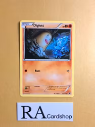 Diglett Common 36/124 Fates Collide Pokemon