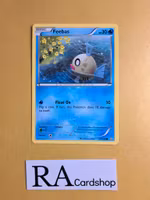 Feebas Common 43/160 Primal Clash Pokemon