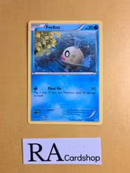 Feebas Common 43/160 Primal Clash Pokemon