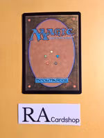 Quarrels End Common Foil 141 The Lord of the Rings Tales of Middle-earth Magic the Gathering