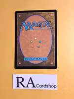 Rally at the Hornburg Common Foil 142 The Lord of the Rings Tales of Middle-earth Magic the Gathering