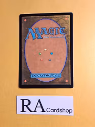 Rally at the Hornburg Common Foil 142 The Lord of the Rings Tales of Middle-earth Magic the Gathering