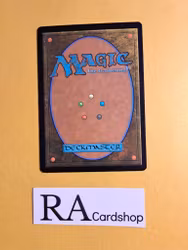 Mirkwood Spider Common 178 The Lord of the Rings Tales of Middle-earth Magic the Gathering