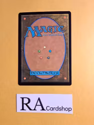 Knights of Dol Amroth Common 059 The Lord of the Rings Tales of Middle-earth Magic the Gathering