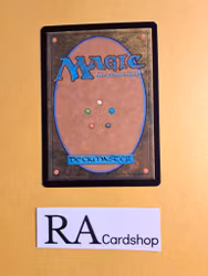 Arwens Gift Common 039 The Lord of the Rings Tales of Middle-earth Magic the Gathering