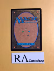 Strider Ranger of the North Uncommon 232 The Lord of the Rings Tales of Middle-earth Magic the Gathering