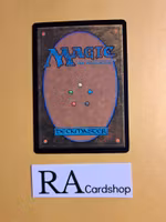 Arwen Undomiel Uncommon 194 The Lord of the Rings Tales of Middle-earth Magic the Gathering