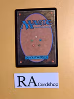 Shire Terrace Common 261 The Lord of the Rings Tales of Middle-earth Magic the Gathering