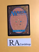 Protector of Gondor Common 025 The Lord of the Rings Tales of Middle-earth Magic the Gathering