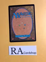 Soldier of the Grey Host Common 032 The Lord of the Rings Tales of Middle-earth Magic the Gathering