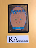 You Cannot Pass! Uncommon 038 The Lord of the Rings Tales of Middle-earth Magic the Gathering