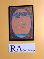 East-Mark Cavalier Common 009 The Lord of the Rings Tales of Middle-earth Magic the Gathering