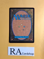 Eomer of the Riddermark Uncommon 121 The Lord of the Rings Tales of Middle-earth Magic the Gathering