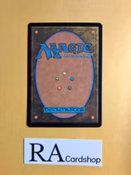 Eomer of the Riddermark Uncommon 121 The Lord of the Rings Tales of Middle-earth Magic the Gathering