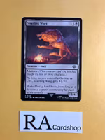 Snarling Warg Common 109 The Lord of the Rings Tales of Middle-earth Magic the Gathering