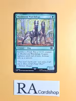 Mushroom Watchdogs Common 180 The Lord of the Rings Tales of Middle-earth Magic the Gathering
