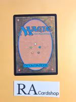 Brandywine Farmer Common 155 The Lord of the Rings Tales of Middle-earth Magic the Gathering