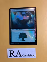 Forest Land Foil 276/287 The Brothers War Magic the Gathering