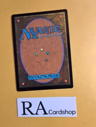 Plains Land Foil 262/281 Dominaria United (DMU) Magic the Gathering