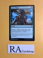Gaeas Might Common 164/281 Dominaria United (DMU) Magic the Gathering