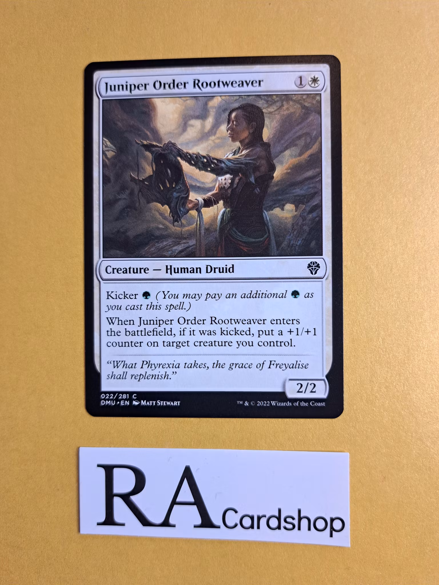 Juniper Order Rootweaver Common 022/281 Dominaria United (DMU) Magic the Gathering