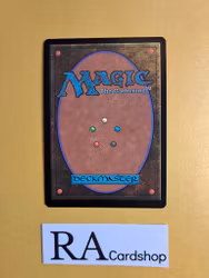 Heliods Pilgrim Common 020/254 Theros Beyond Death (THB) Magic the Gathering