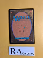 Hero of the Pride Common 022/254 Theros Beyond Death (THB) Magic the Gathering