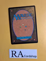 Indomitable Will Common 025/254 Theros Beyond Death (THB) Magic the Gathering
