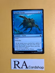 Riptide Turtle Common 061/254 Theros Beyond Death (THB) Magic the Gathering