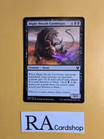 Blight-Breath Catoblepas Common 086/254 Theros Beyond Death (THB) Magic the Gathering