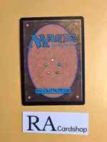 Funeral Rites Common 097/254 Theros Beyond Death (THB) Magic the Gathering